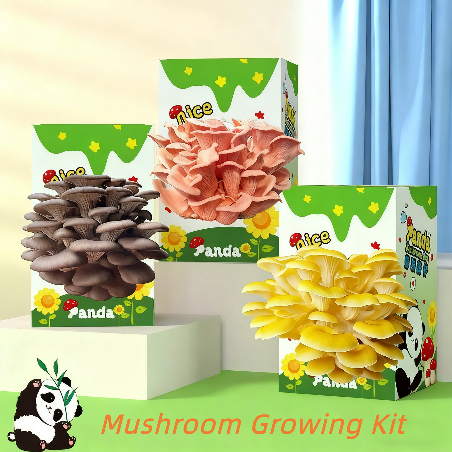 🔥Mushroom Growing Kit - Edible Mushroom Cultivation (Includes Spray Bottle)