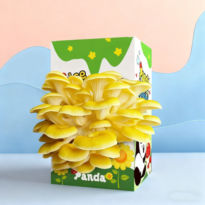 🔥Mushroom Growing Kit - Edible Mushroom Cultivation (Includes Spray Bottle)