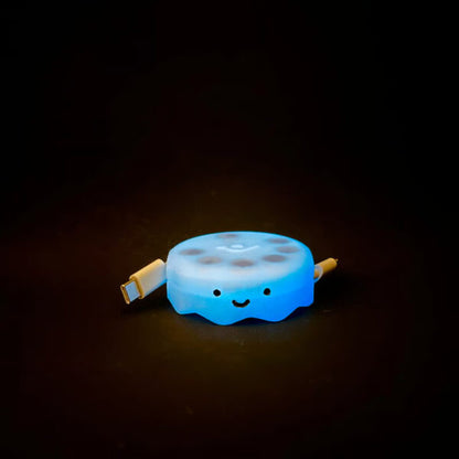 ✨Portable Cable Organizer