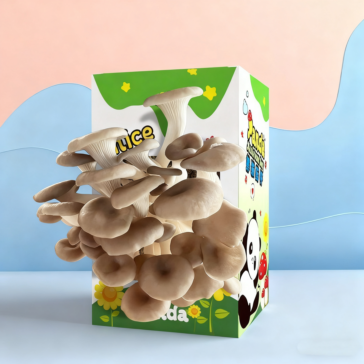 🔥Mushroom Growing Kit - Edible Mushroom Cultivation (Includes Spray Bottle)