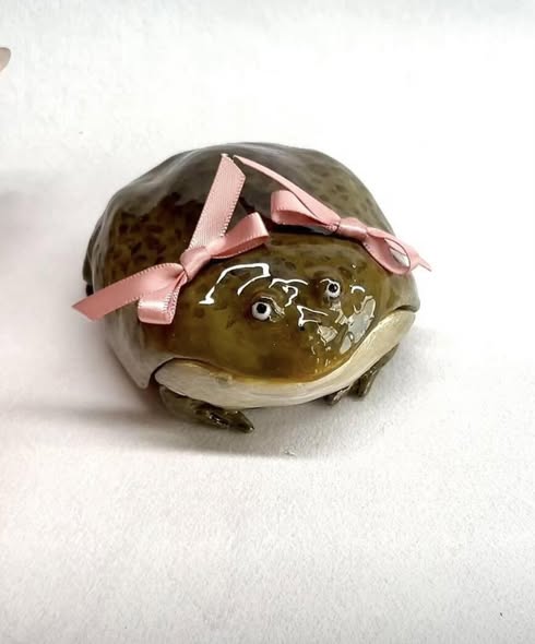 🐸🎀Handmade Clown Frog Earphone Case for AirPods