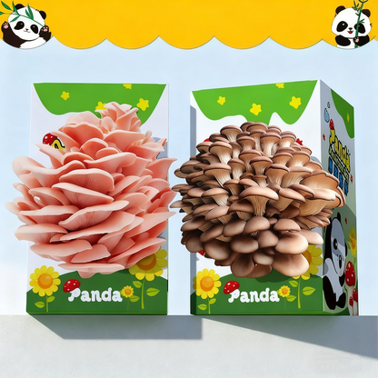 🔥Mushroom Growing Kit - Edible Mushroom Cultivation (Includes Spray Bottle)