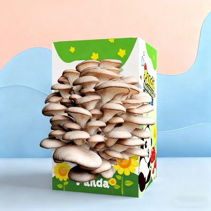 🔥Mushroom Growing Kit - Edible Mushroom Cultivation (Includes Spray Bottle)