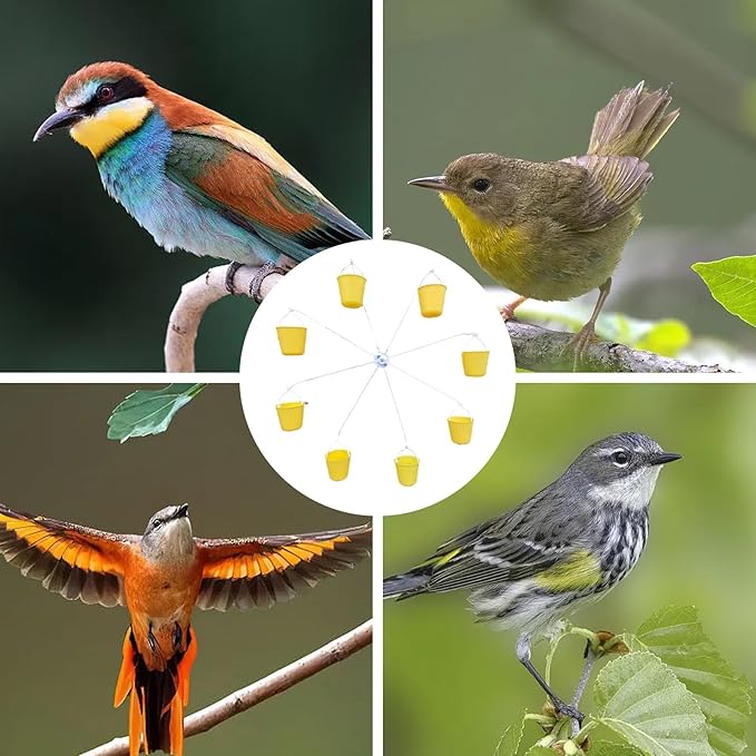 Ferris Wheel Bird Feeder 🐦Attract more birds to your garden