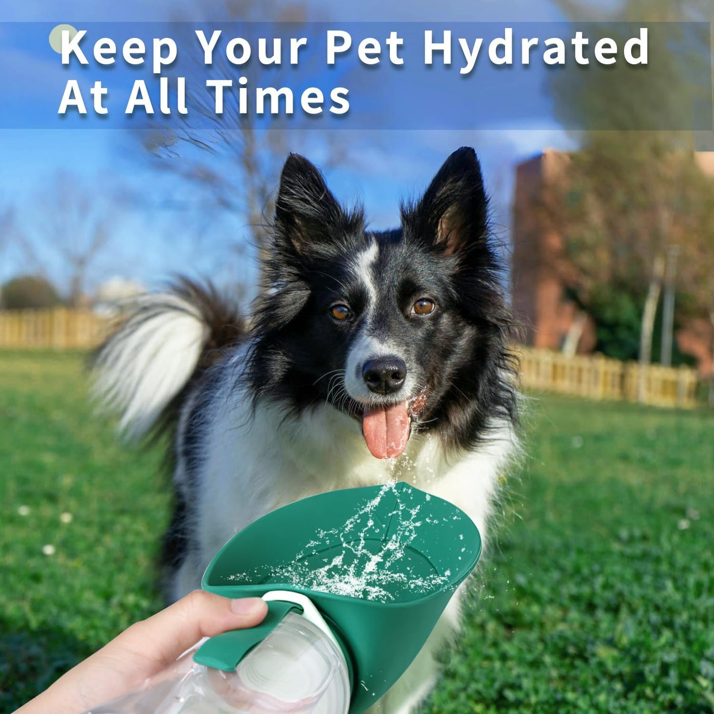 Food-Grade Portable Silicone Leak-Proof Pet Water Bottle with Food Container and Drinking Dispenser