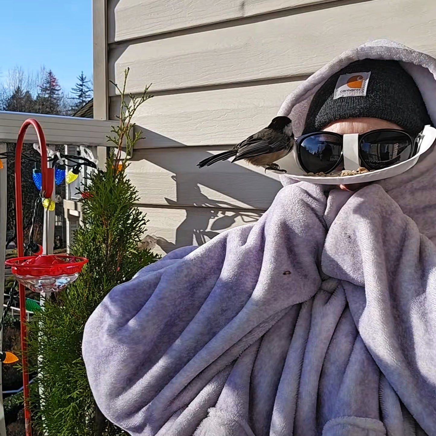 Eyeglass Frame Head Mounted Bird Feeder Humming Bird Feeder