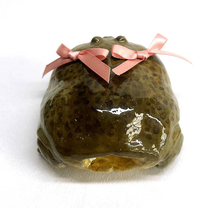 🐸🎀Handmade Clown Frog Earphone Case for AirPods