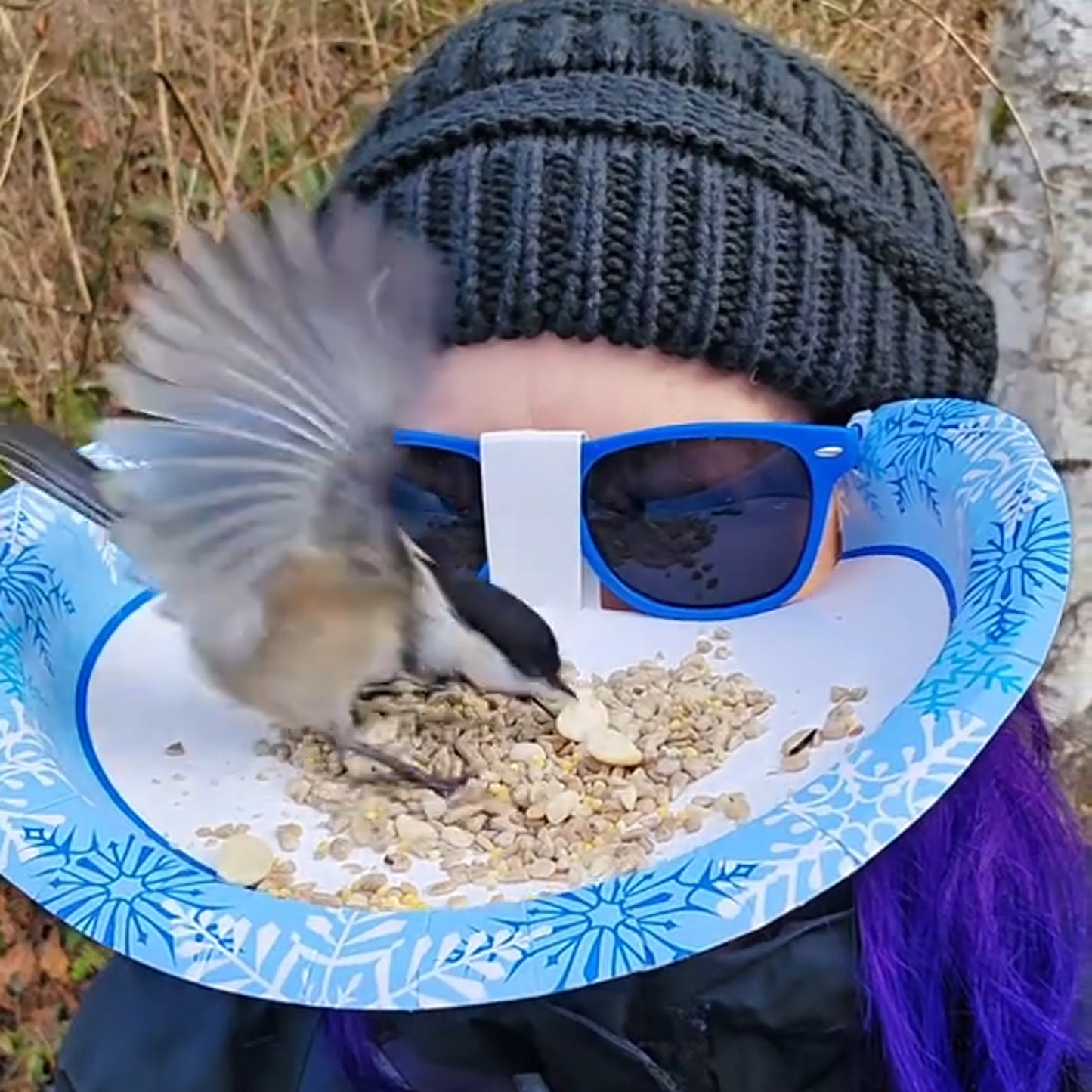 Eyeglass Frame Head Mounted Bird Feeder Humming Bird Feeder